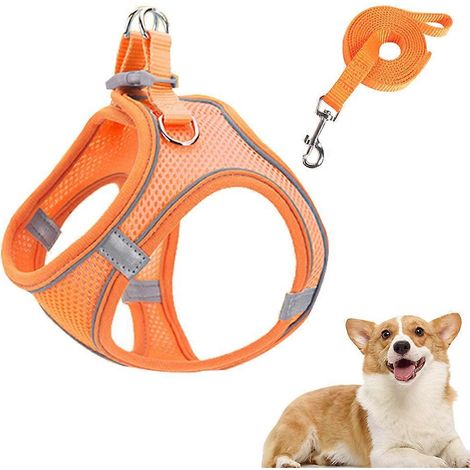 Harnais pour chien avec laisse, harnais pour chiot à enfiler, réfléchissant et réglable, avec gilet rembourré - XXS (1/5)