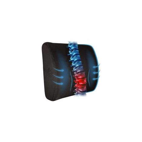 Coussin de soutien lombaire : coussin lombaire en mousse à mémoire de forme pour soulager la douleur dans le bas du dos - Coussin de dossier de voiture pour la conduite - Soutien lombaire (1/3)