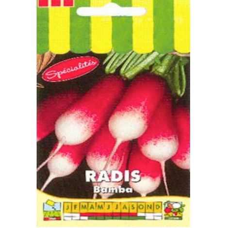 Radis  'Bamba' le sachet de 500 graines (5g) (1/2)