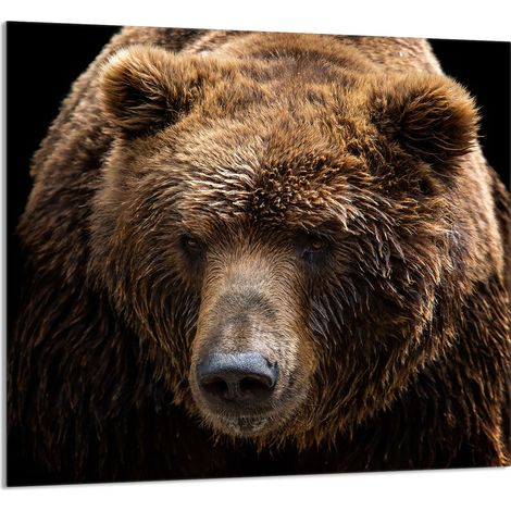 Panneau de verre POUR la cuisine 65x60 Ours en peluche (1/5)