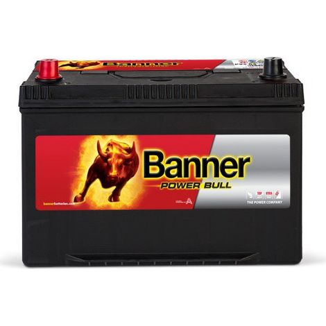 Batterie voiture 12V 95Ah 740A – P9505 – Plomb Calcium sans entretien – Démarrage fiable pour voitures et camionnettes – Banner