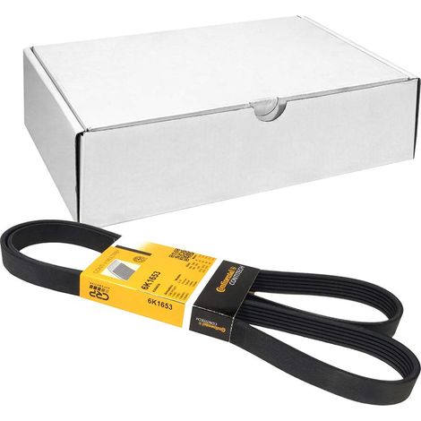 Cinghia multi-nervata CONTITECH 6 PK 1653 (1/4)
