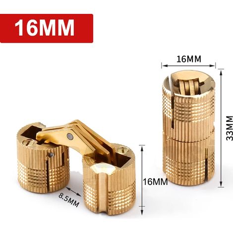 Charnière invisible (16 mm) en acier inoxydable, robuste, encastrée, pour porte de garage. (1/5)