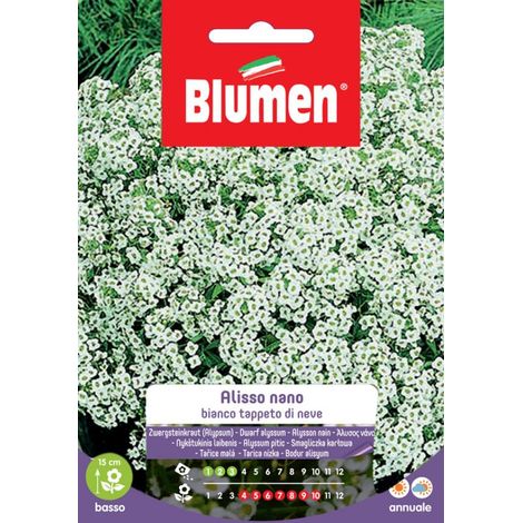 SEMI ALISSO BIANCO NANO TAPPETO NEVE BLUMEN (1/2)