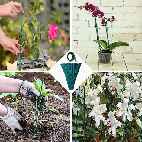 Packung mit 50 grünen Bambus-Pflanzenstützen für Kletterpflanzen, inklusive 30 Metern Papierklebeband und 50 Pflanzenbindern – 38 cm lange Gartenstütze für Kletterpflanzen (1/4)