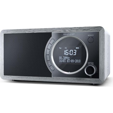 Sharp DR-450 Radio Personale Digitale LCD Bluetooth Grigio (1/4)
