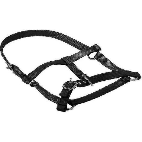 Licol de sécurité réglable en licol pour cheval, épaisseur 6 mm (1/5)
