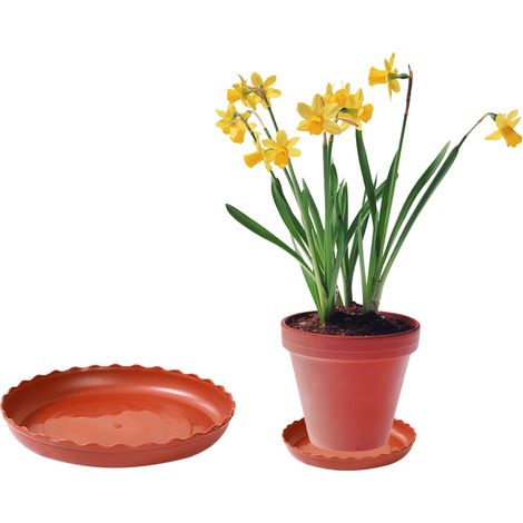 Soucoupe à fleurs ronde en plastique, 13,9x12x2,2 cm, avec rebord décoratif, pour récupérer l'eau d'arrosage et protéger les sols (1/5)