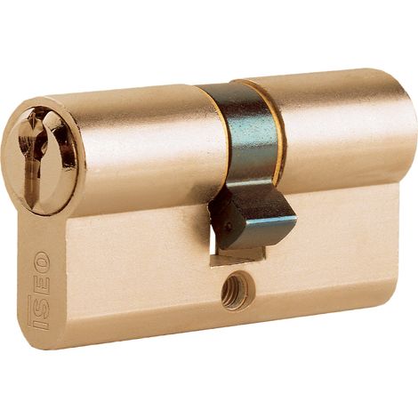 Cilindro sagomato con 3 chiavi - Lunghezza 100 mm - Misura 30.10.60 mm - 8209.35.65 (1/2)