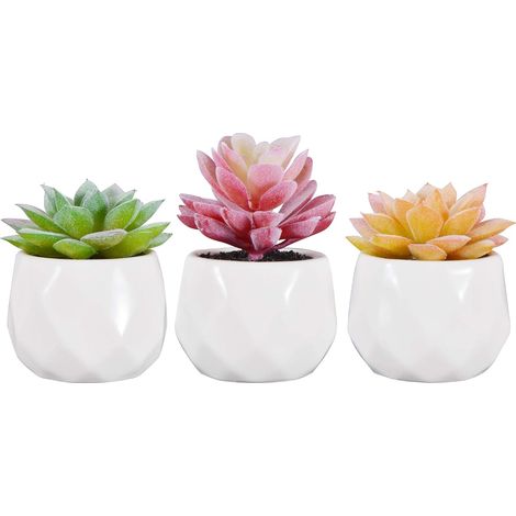 Lot de 3 Petites Plantes Succulentes Artificielles Intérieur en Pot (1/5)