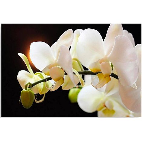 Tableau bois 12 orchidées - 50 x 40 cm (1/4)