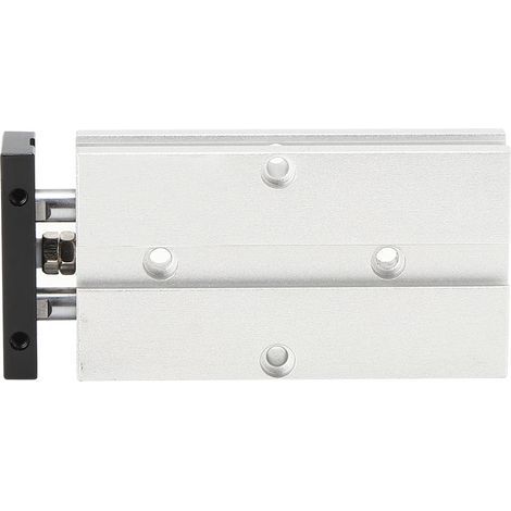 Cylindre Pneumatique TN10 Double Tige à Double Effet pour Composants Industriels (1/5)