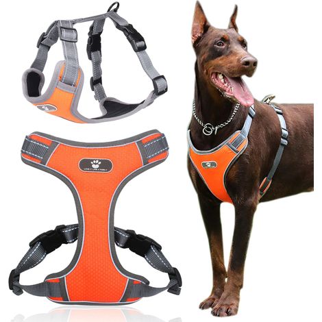 Pettorina da addestramento per cani ASTRO, arancione, taglia XL (1/5)