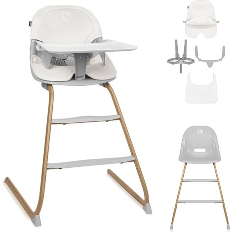 Chaise Haute Bébé Évolutive 2 en 1, 6-36 Mois (1/5)