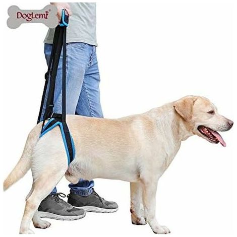 VURAHOME - Harnais de levage pour chiens âgés, faibles, avec poignée de levage pour soulager la douleur, la rééducation, les chirurgies, bleu/noir, taille L (1/5)
