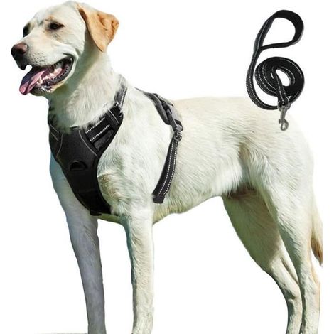 Harnais Chien - BIGILANTUH - M - Anti Traction - Réfléchissant - Durable