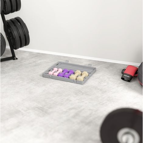 6-teiliges Hantelset mit Koffer, 0,5 kg, 1 kg und 1,5 kg, rosa, OKMYHOME (1/5)
