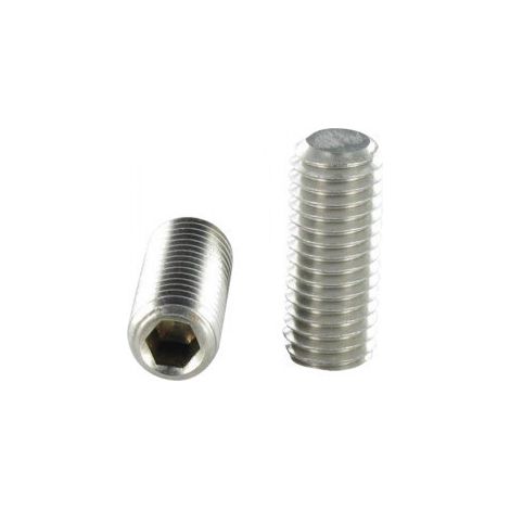 Vis métaux Sans tête six pans creux (sthc) M10X18 Bout plat Inox A4-1 pièce