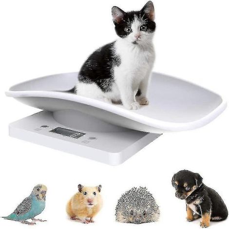 Filiyano-Balance numérique pour animaux - Balance de cuisine électronique 10 kg avec écran LCD (1/4)