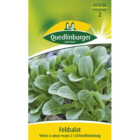 Quedlinburger Saatgut – Mâche Verte à cœur plein 2 – Graines de légumes, feuilles vert foncé brillantes, 10 m linéaires (1/2)
