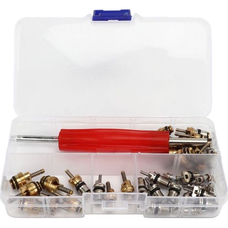 Kit de noyau de Valve principale AC, 41 pièces, avec outil de démontage, noyaux de réfrigération automobile R12 R134a pour la plupart des voitures (1/5)