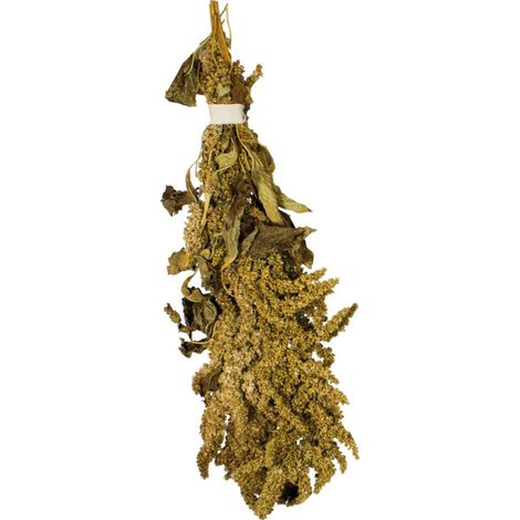 JR FARM Amaranth in Ohren zum Knabbern für alle Papageien 30g (1/4)