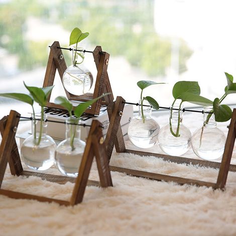 Station de multiplication des plantes avec support en bois, terrarium pour plantes, décoration de bureau à domicile, support en bois pour jardinage, trois bouteilles (1/5)