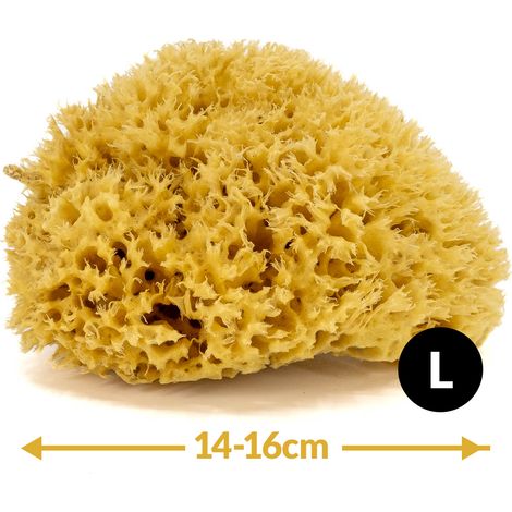 Badeschwamm – Natur, Meer – Größe L 14–16 cm (1/5)