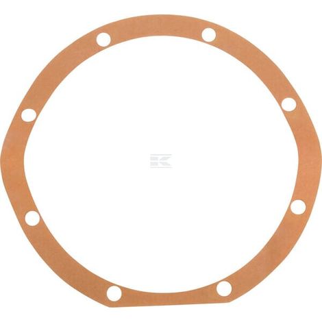Guarnizione 0,1 mm Maschio MASCHIO M13100209R