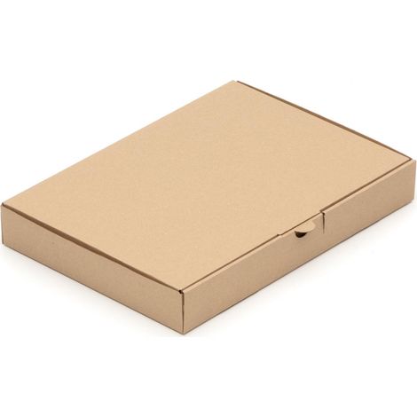 300 Maxibriefkartons Maxibrief DIN A4 B4 Kartons 350x250x50 mm (1/4)
