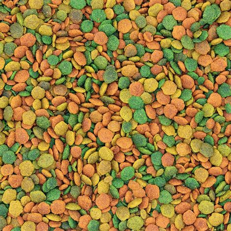 Nutribird G14 Tropical - Aliment d'entretien pour perruches multicolores 1 kg Offre exclusive