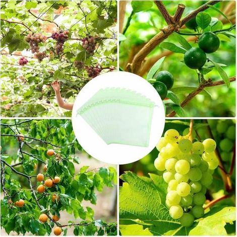 Sacs Protection Fruits, 15x10cm Filet Protection pour Protéger Fruits Contre Oiseaux et Insectes-Vert,50pcs (1/4)