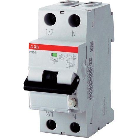 Disjoncteur Différentiel Magnéto-thermique DS201 C10 AC300 1P+N 6K (DS1C10AC300)