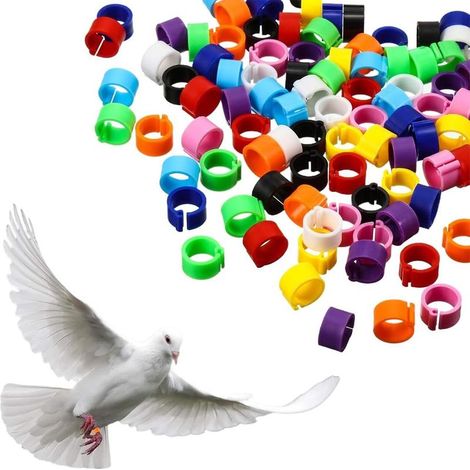 Lot de 100 bagues d'identification pour oiseaux de 8mm, adaptées aux pattes des calopsittes et des pigeons, Accessoire ludique pour décorer les bandes de jambe des oiseaux, couleur aléatoire (1/4)