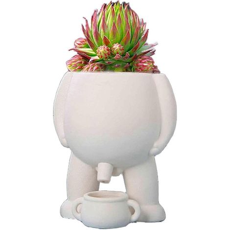 Pot de fleurs visage drôle pour petites plantes et succulentes,white (1/5)