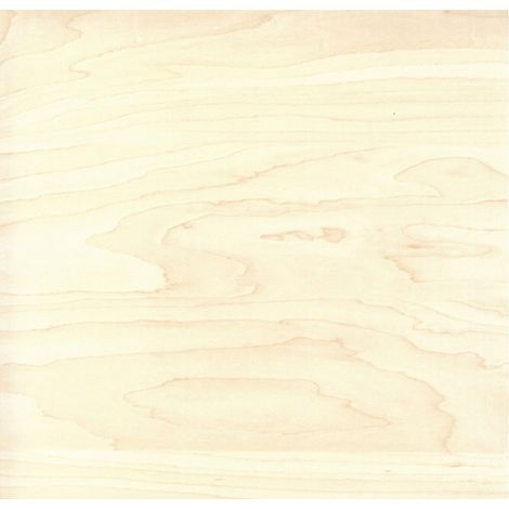 Venilia Pellicola adesiva, Acero aspetto legno bianco, 67,5cm x 3m, Spessore 95μ, Pellicola autoadesiva per mobili o cucina, carta da parati, PVC senza ftalati, Prodotto in UE