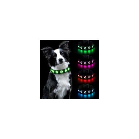 Collier lumineux pour chiens – Rechargeable et étanche – Visibilité 500m – Nylon et cuir PU – Taille S (30-40 cm) – Modes d'éclairage 6 couleurs (1/5)