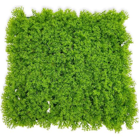 BioPlant Sfondo Artificiale Tappetino Sfondo Modulare per Terrario Lichene Chiaro 25x25cm (1/5)