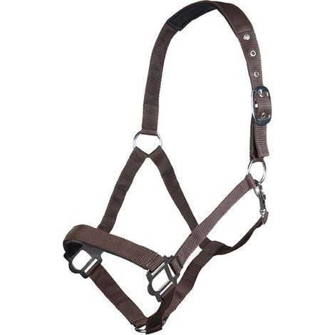 Capezza in nylon con sopratesta e nasalina imbottiti modello Sydney: cob, bluette 6700 (1/5)