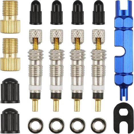 Adapter von Presta- auf Schrader-Ventile – 18-teilig, universelle Fahrradventiladapter, Tubeless-MTB-Ventile und Werkzeug (1/5)