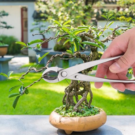 Multifunktionale Astschere aus Edelstahl, Gartenschere, Bonsai-Werkzeug (1/5)