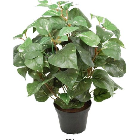 Pothos au feuillage panaché artificiel en pot, H 35 cm, D 29 cm (1/3)