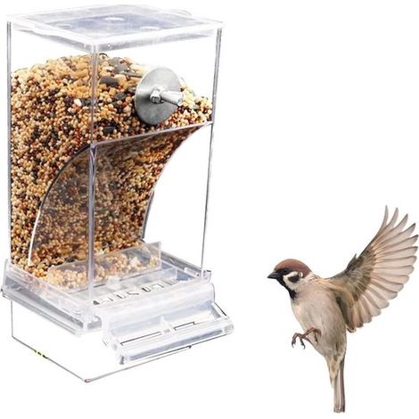 Mangeoire automatique transparente anti-déversement pour oiseaux - adaptée aux oiseaux en cage - récipient à graines pour perroquets/perruches ondulées (1/5)