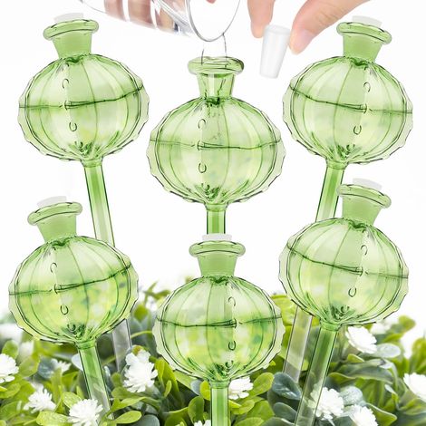 Paquet de 6 inserts de jardinière à arrosage automatique, dispositifs d'arrosage des plantes, globes d'arrosage des plantes de cactus, 7x25cm (1/5)