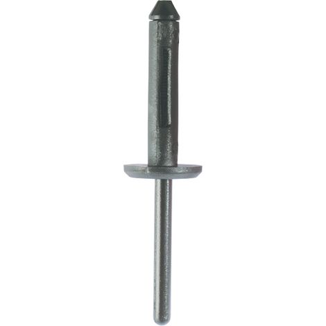 Rivets en plastique pour Chrysler, pack de 10 (1/2)