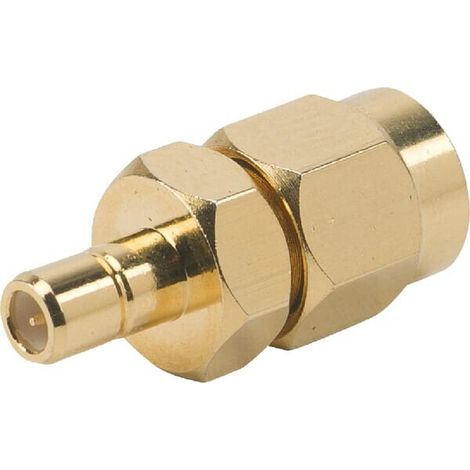Adaptateur BLAUPUNKT 2006017246203 (1/2)