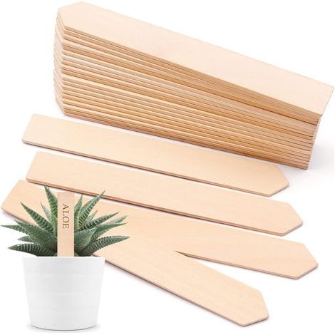 30 Pièces Étiquettes de Plantes en Bois, Panneaux de Plantes en Bois pour Les Semis d'Herbes de Jardin (15,3×2×0,3 cm) (1/5)