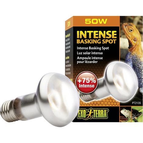 Lampe exo-terra intense basking spot 100W faisceau 45 degrés