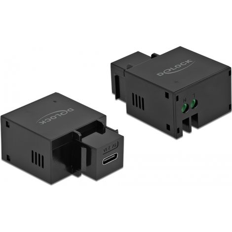 Delock MÃ³dulo Keystone USB Type-Câ¢ Puerto de carga 2,1 A negro