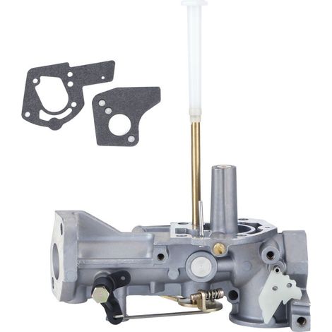 Carburateur pour Moteur Briggs 5CV (130202, 112202, 134202) - Pièce pour Motoculteur (1/5)